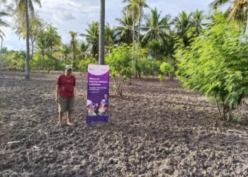 Sumber Ekonomi Baru: Lokadesa Ubah Lahan Terbengkalai Jadi Lahan Produktif Lewat Integrated Farming System (Pertanian Terpadu)