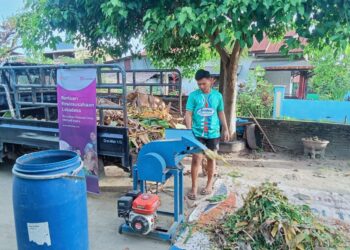 Lokadesa Kembangkan Fermentasi Ampas Tahu dan Silase untuk Pakan Ternak Kambing Yang Berkelanjutan