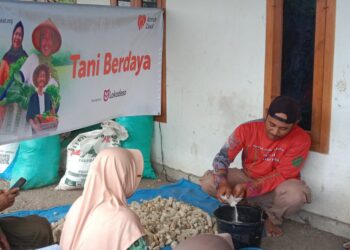 Paguyuban Petani Makmur Sejahtera Ubah Limbah Pertanian Jadi Media Jamur Bonggol