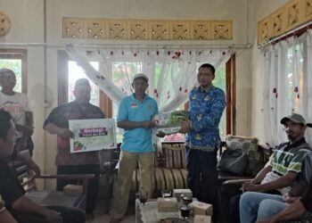 Lokadesa Salurkan Bantuan Pupuk dan Bibit untuk Petani Mujur Lor, Dorong Produktivitas dan Ketahanan Pangan Desa