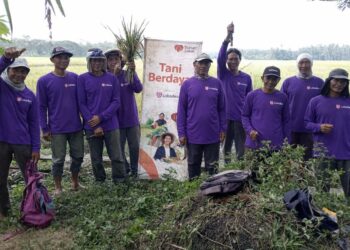 Panen 1,4 Ton Gabah di Mujur Lor: Bukti Nyata Desa Bisa Berdaya dari Lahannya Sendiri