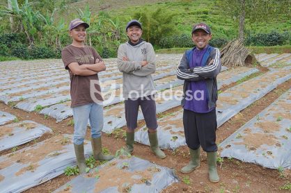 Bantuan Modal Usaha Pertanian Lokadesa
